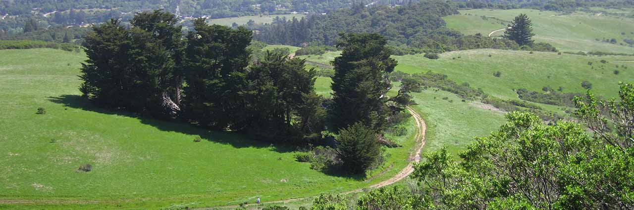 Hike Spring Ridge Trail Windy Hill Open Space Preserve - POST