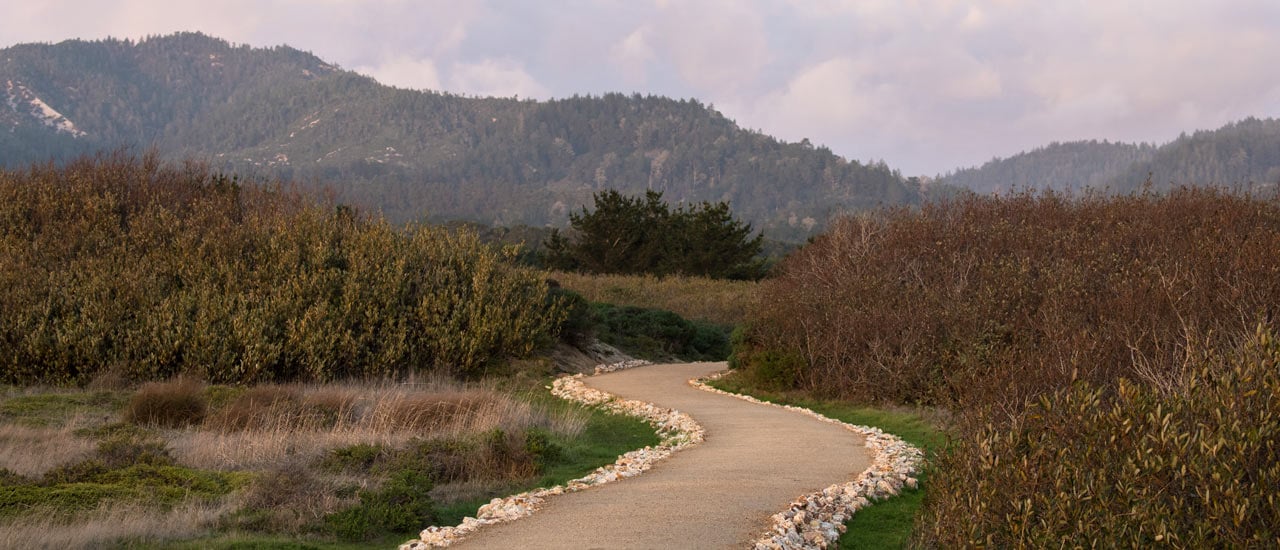 Newly constructed trail in Año Nuevo.