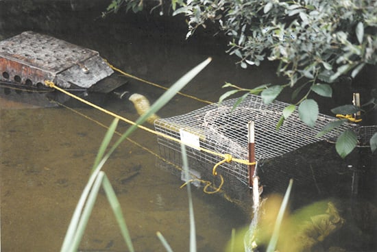 Pescadero-Creek-fish-trap