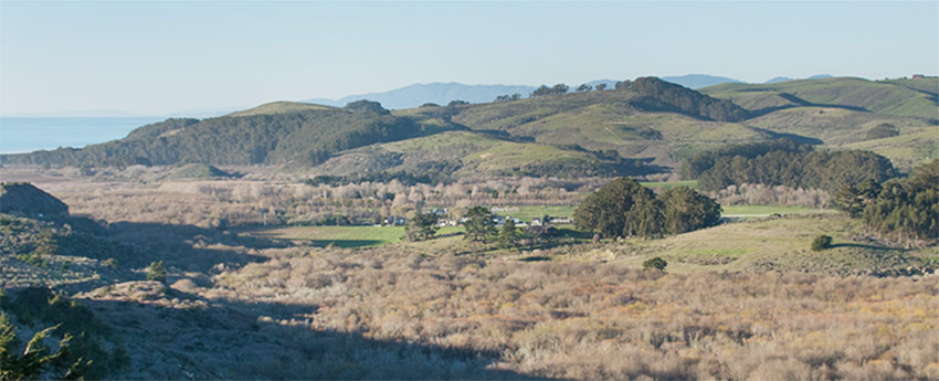 Butano_creek_restoration_POST-(1)f