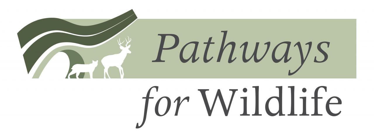 Wildlife Tracking Basics With Pathways For Wildlife - Post