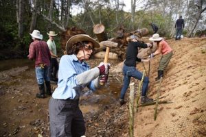 Butano Creek Restoration - POST