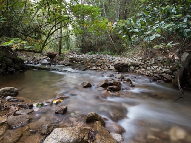 San Vicente Creek