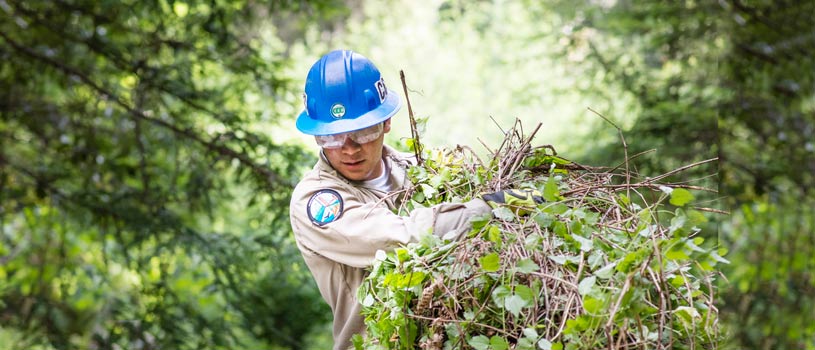 A worker removes a bundle of invasive plants.