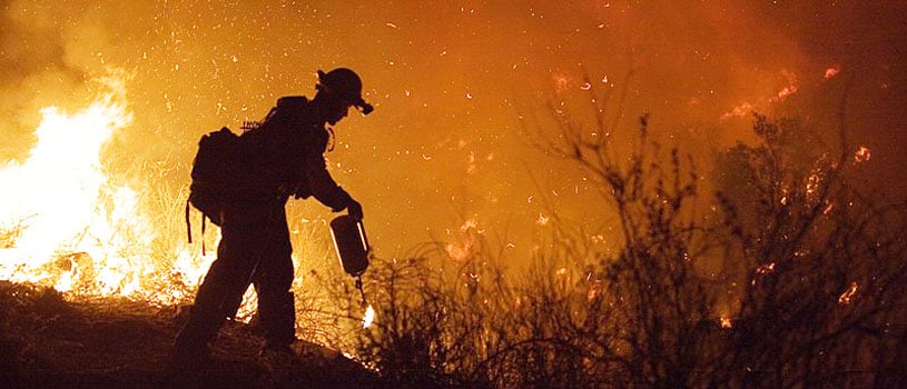 800px-FEMA_-_33311_-_Fire_crew_member_fighting_Poomacha_wildfire_in_Californiaf
