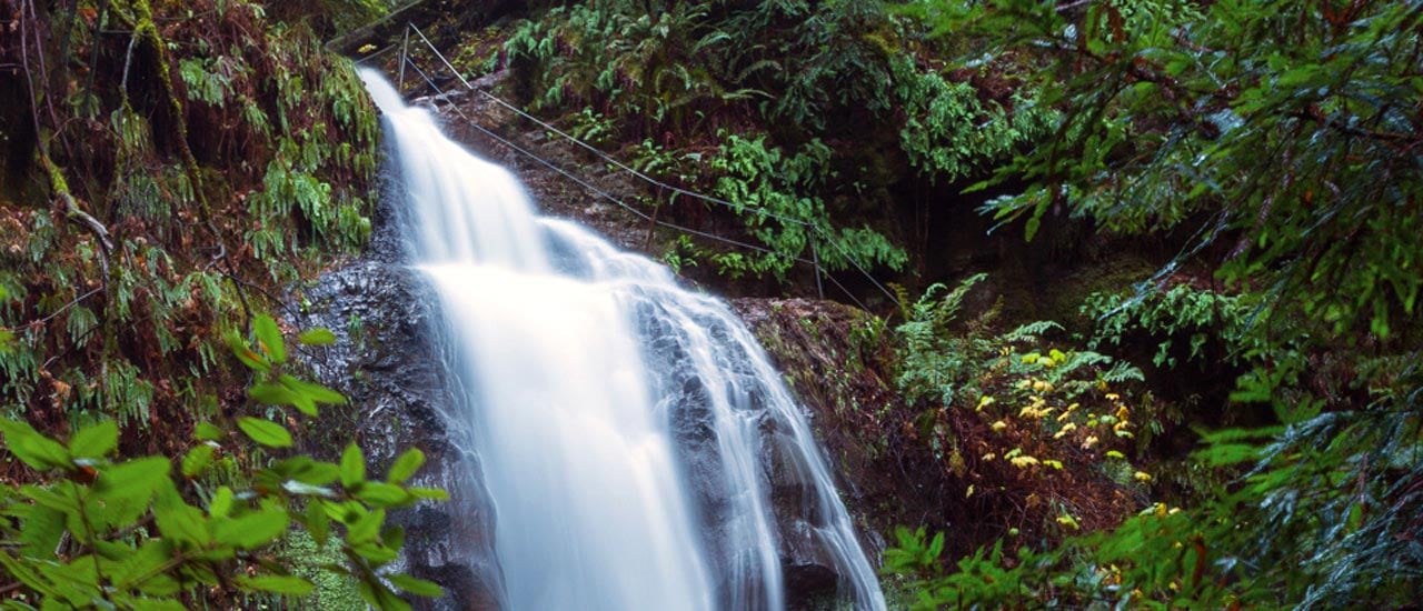 Silver Falls Hike Information At Big Basin State Park Near Santa Cruz