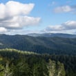 Santa Cruz Mountains - POST