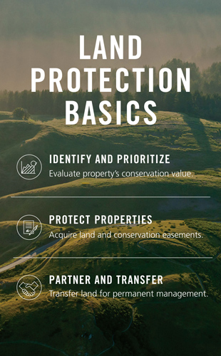Land-Protection-Process