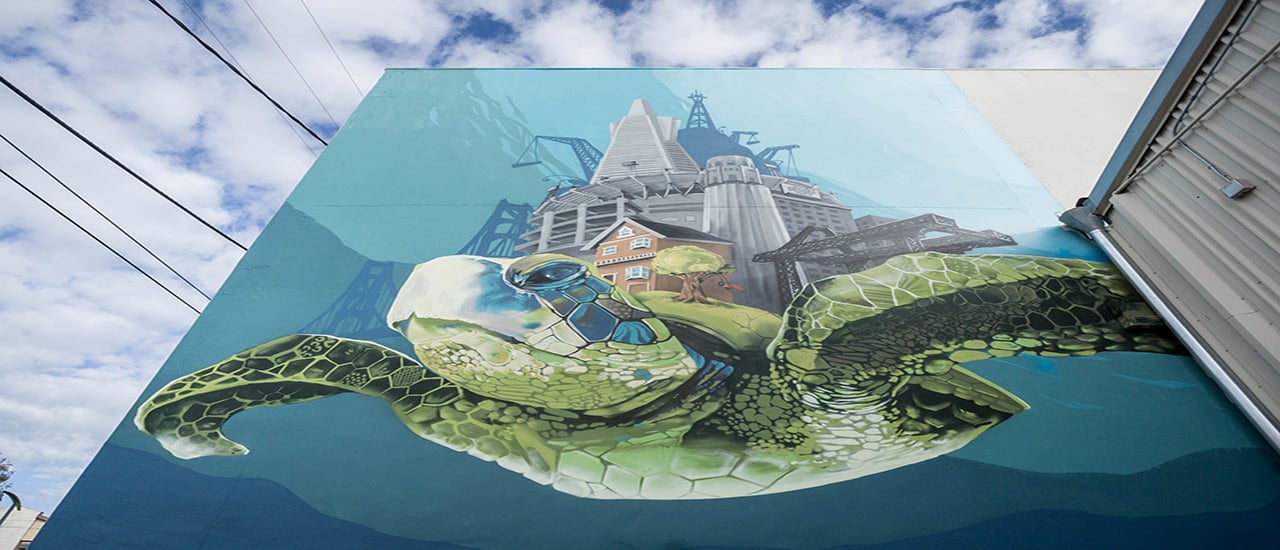 Wall mural of a sea turtle