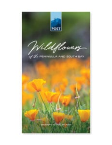 Wildflower guide from POST