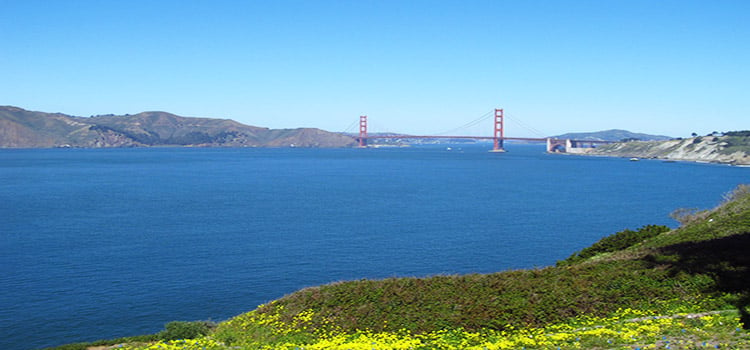 Golden Gate Bridge from Land's End Trail