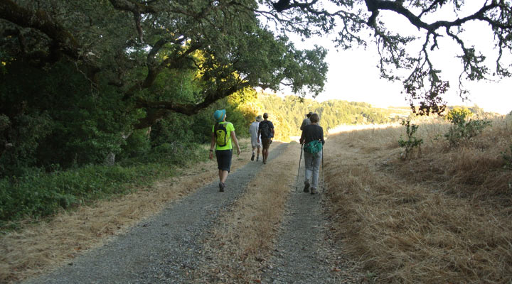 A group of hikers on the trail at La Honda Creek.