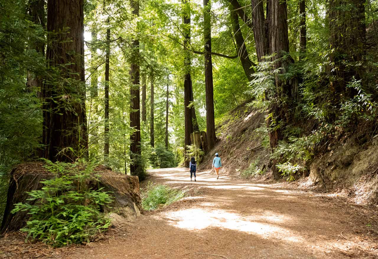 A couple walking along a trail at Bear Creek Redwoods.