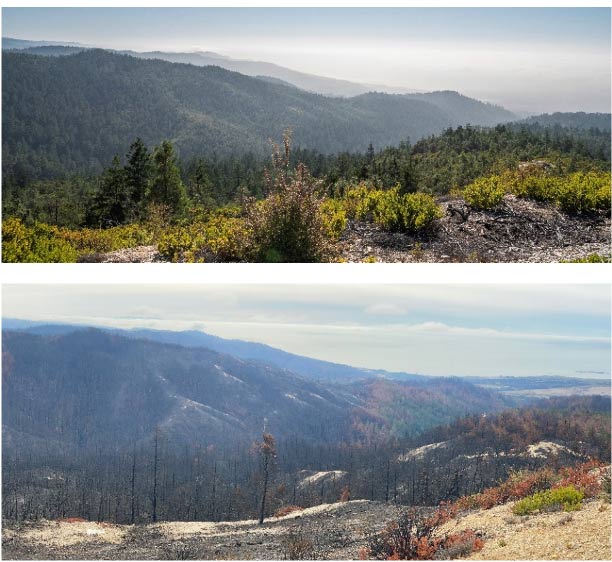 Before and after fire at Cascade Creek