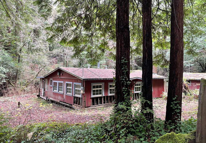 Sam McDonal's Cabin in the redwoods.