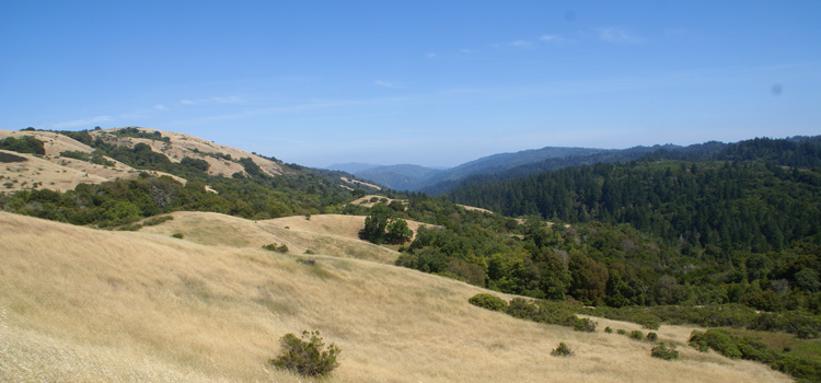 View from Monte Bello OSP.