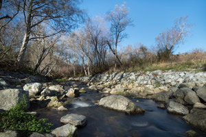 Newly revived Butano Creek