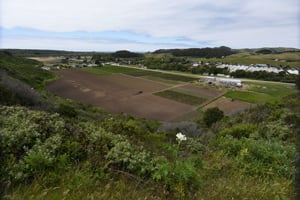 View from the hill of Butano Farm.