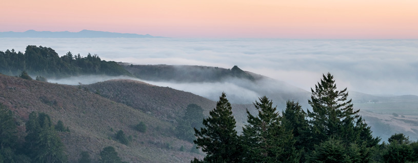 Fog creeping up the Santa Cruz Mountains - POST