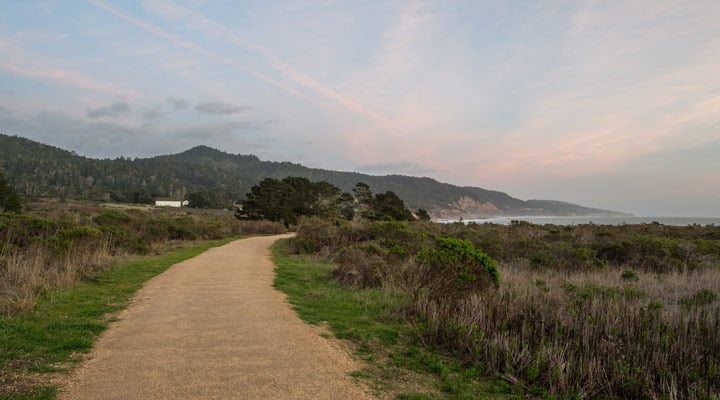 Wide trail at Año Nuevo State Park.