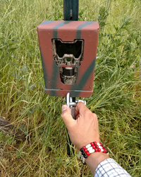 Trail Camera used to capture wildlife data.