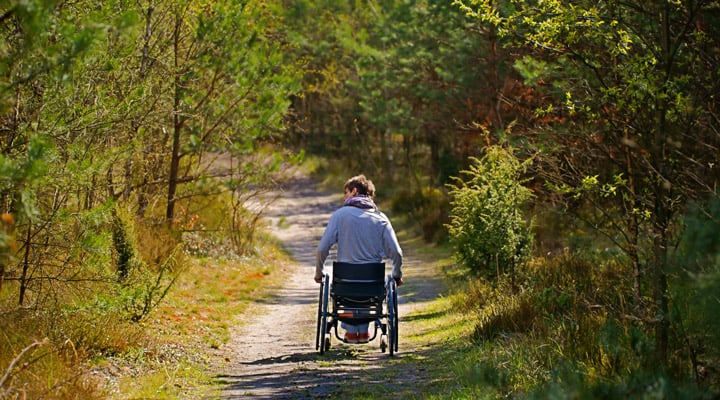 A person in a wheelchair enjoying nature.