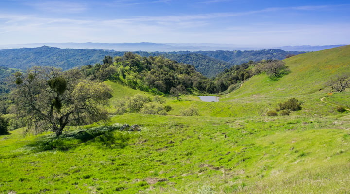 Verdant green hills at Henry Coe State Park.