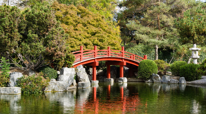 A Japanese style bridge crosses a lake at Kelley Park.