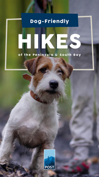 Dog-friendly hikes - POST
