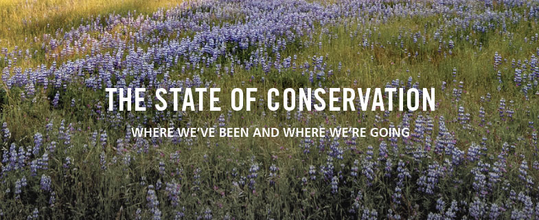 State of Conservation