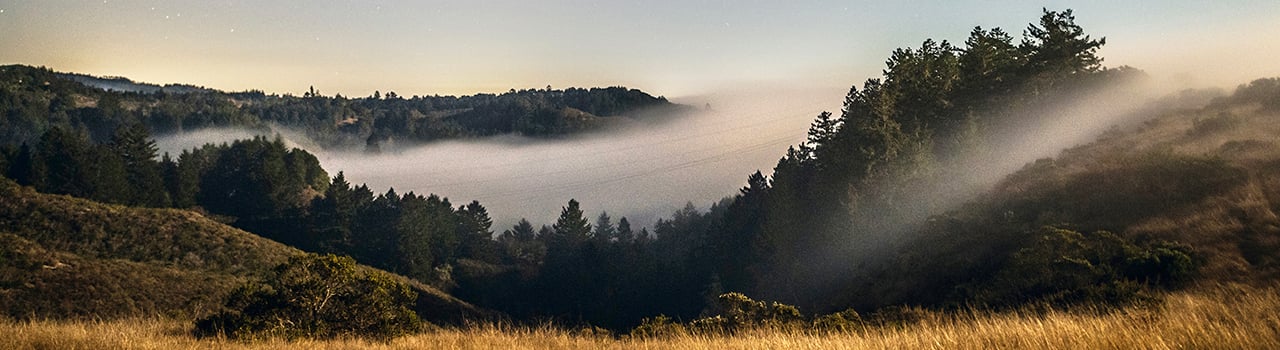 San-Vicente-Redwoods-Night-Fog_Teddy_Miller