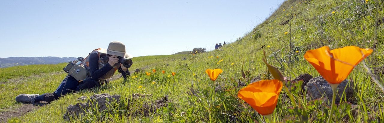 POST Wildflower walk in Coyote Valley 3/27/21